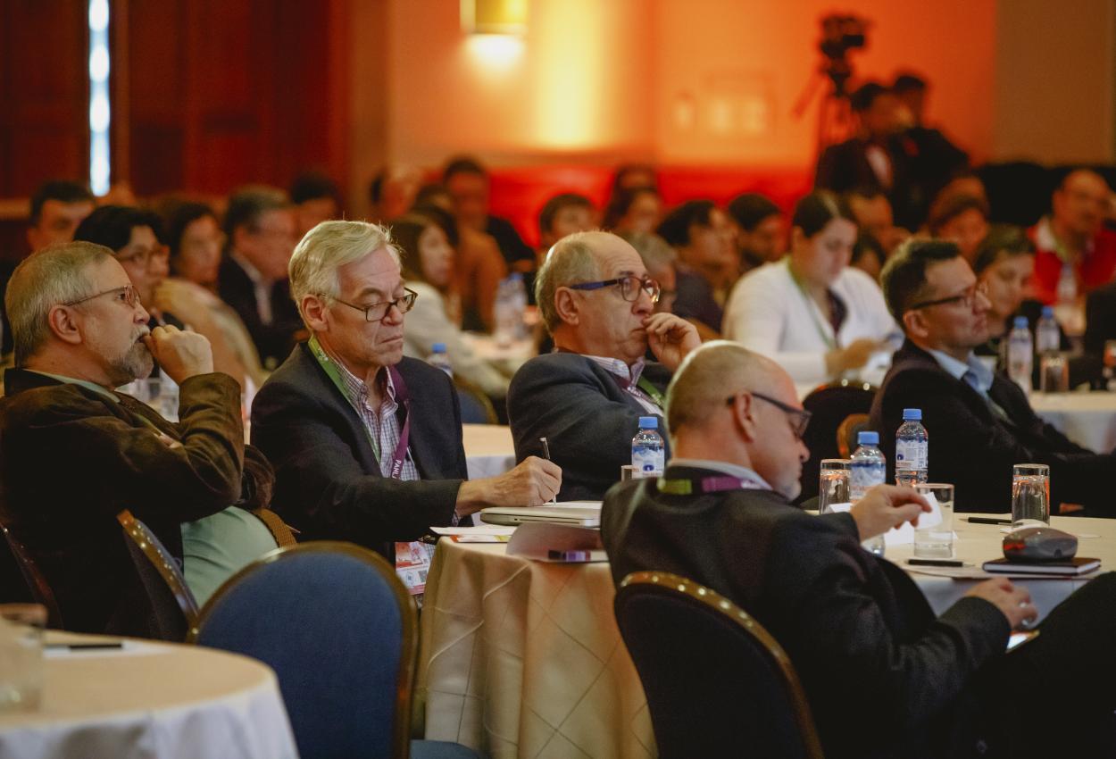 II Curso de revision en reumatologia - En imagenes