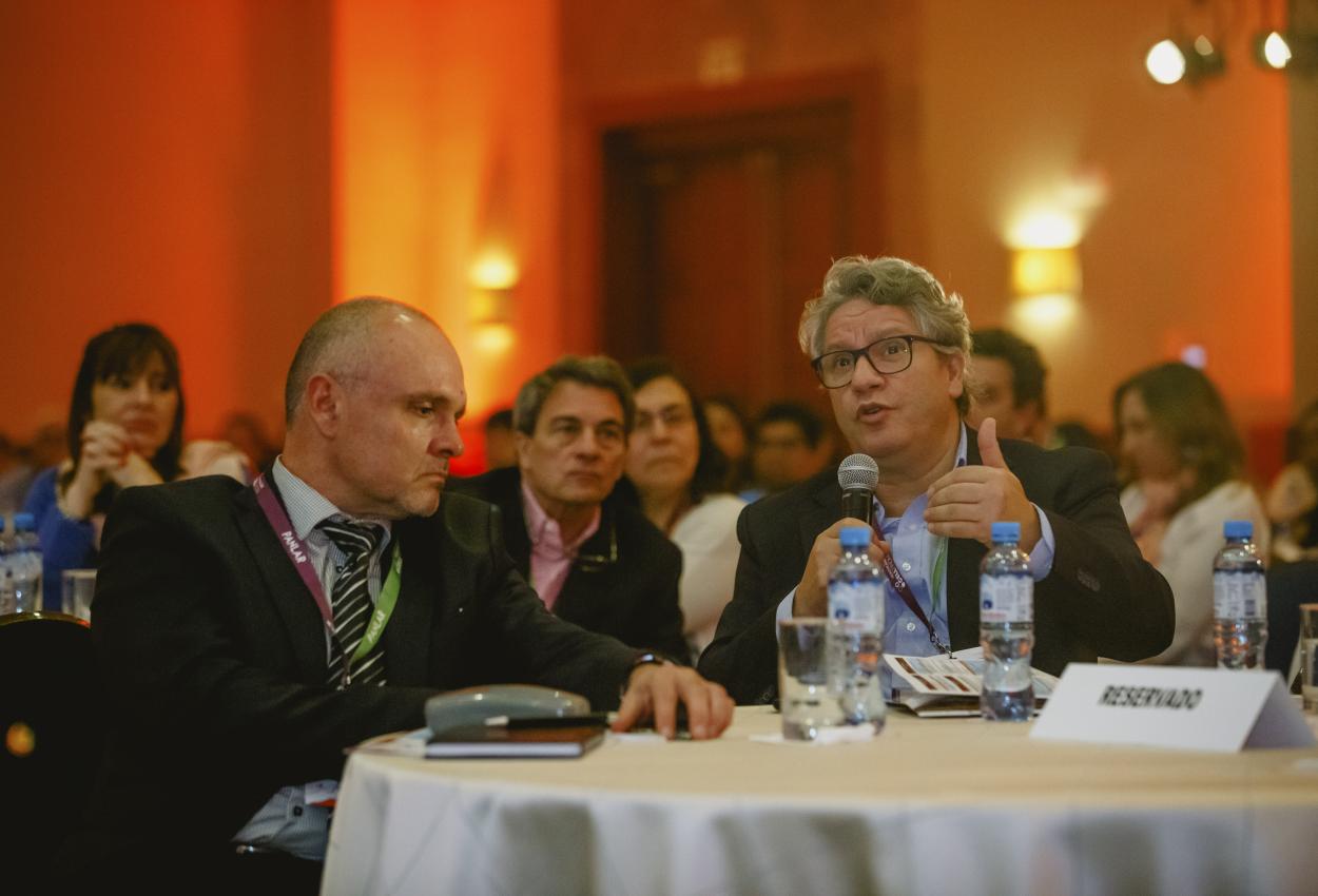 II Curso de revision en reumatologia - En imagenes