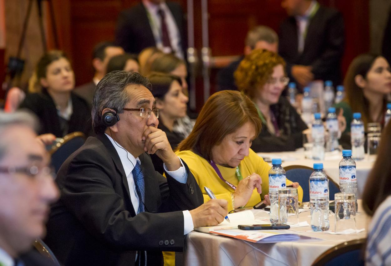 II Curso de revision en reumatologia - En imagenes