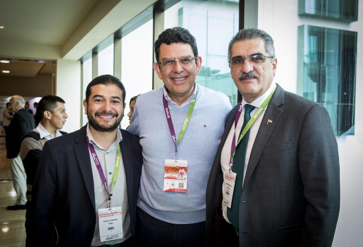 II Curso de revision en reumatologia - En imagenes