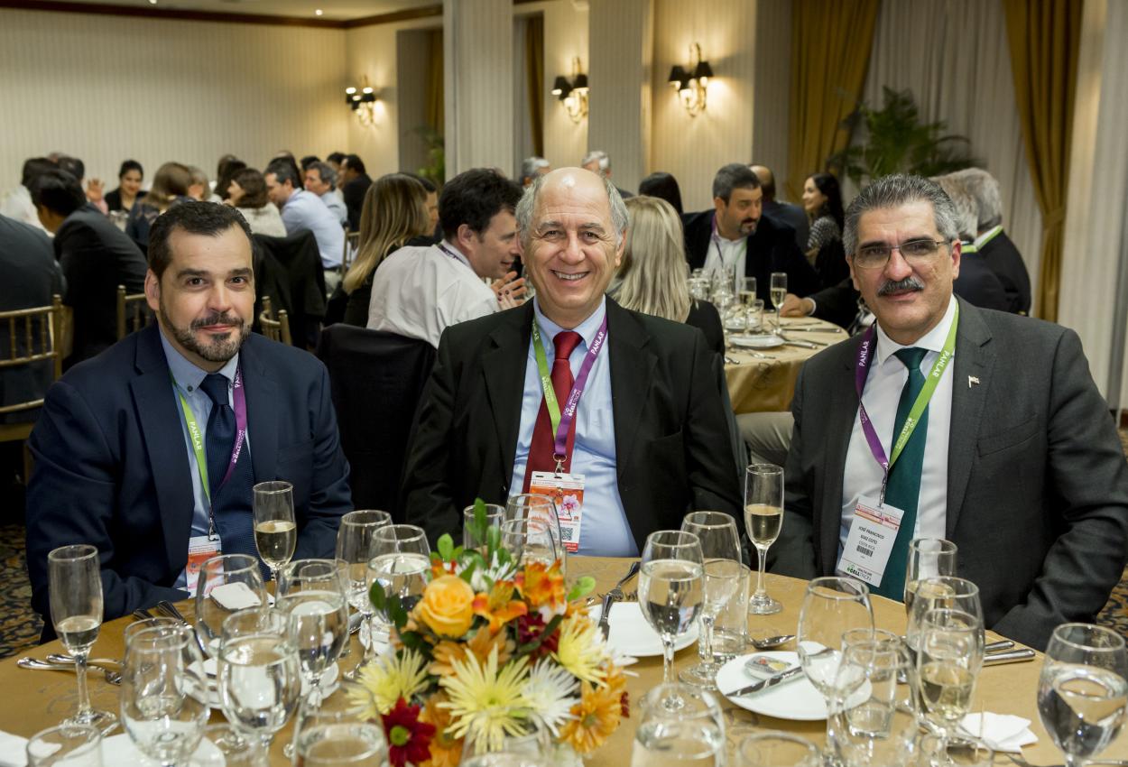 II Curso de revision en reumatologia - En imagenes