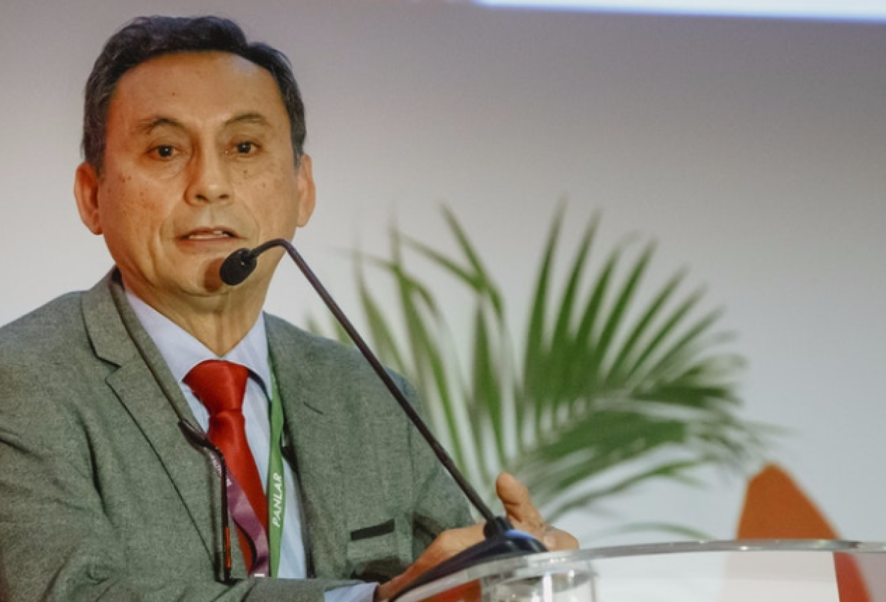 II Curso de revision en reumatologia - En imagenes