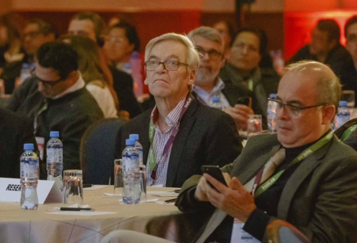 II Curso de revision en reumatologia - En imagenes